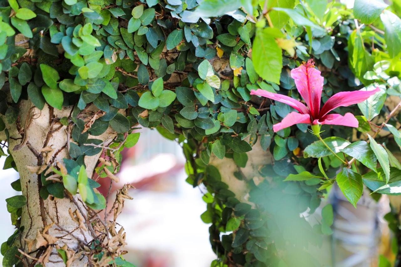Almond Tree Inn - Adults Only Cayo Hueso Exterior foto